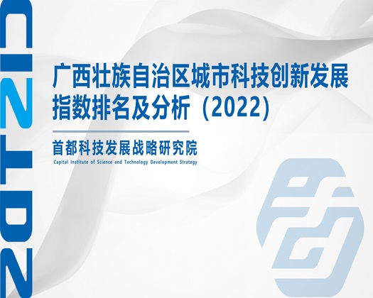 精美操大逼【成果发布】广西壮族自治区城市科技创新发展指数排名及分析（2022）